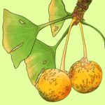 Graphic Art
